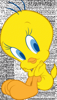 Tweety91