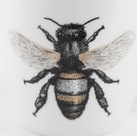 Алена Бахова